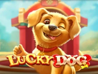 Lucky Dog